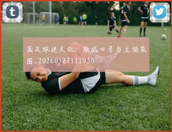 国足球迷文化:助威口号与主场氛围_20260527111930
